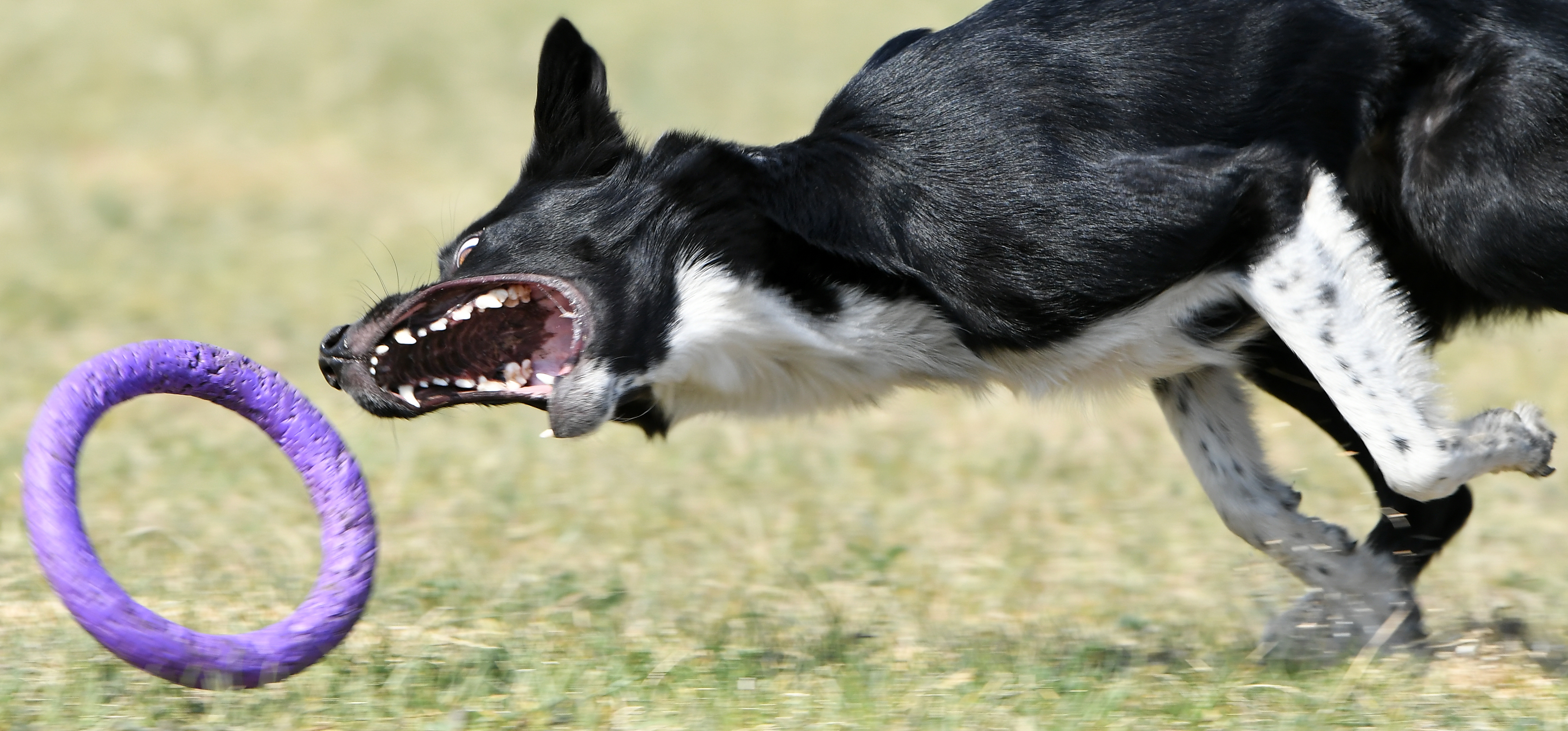 外代二线巴塞尔,外代二线