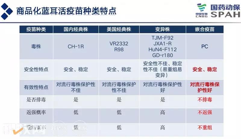 徐敏：实现安全性和免疫原性的平衡，PC株疫苗安全性极佳，可用于蓝耳病的防控和净化