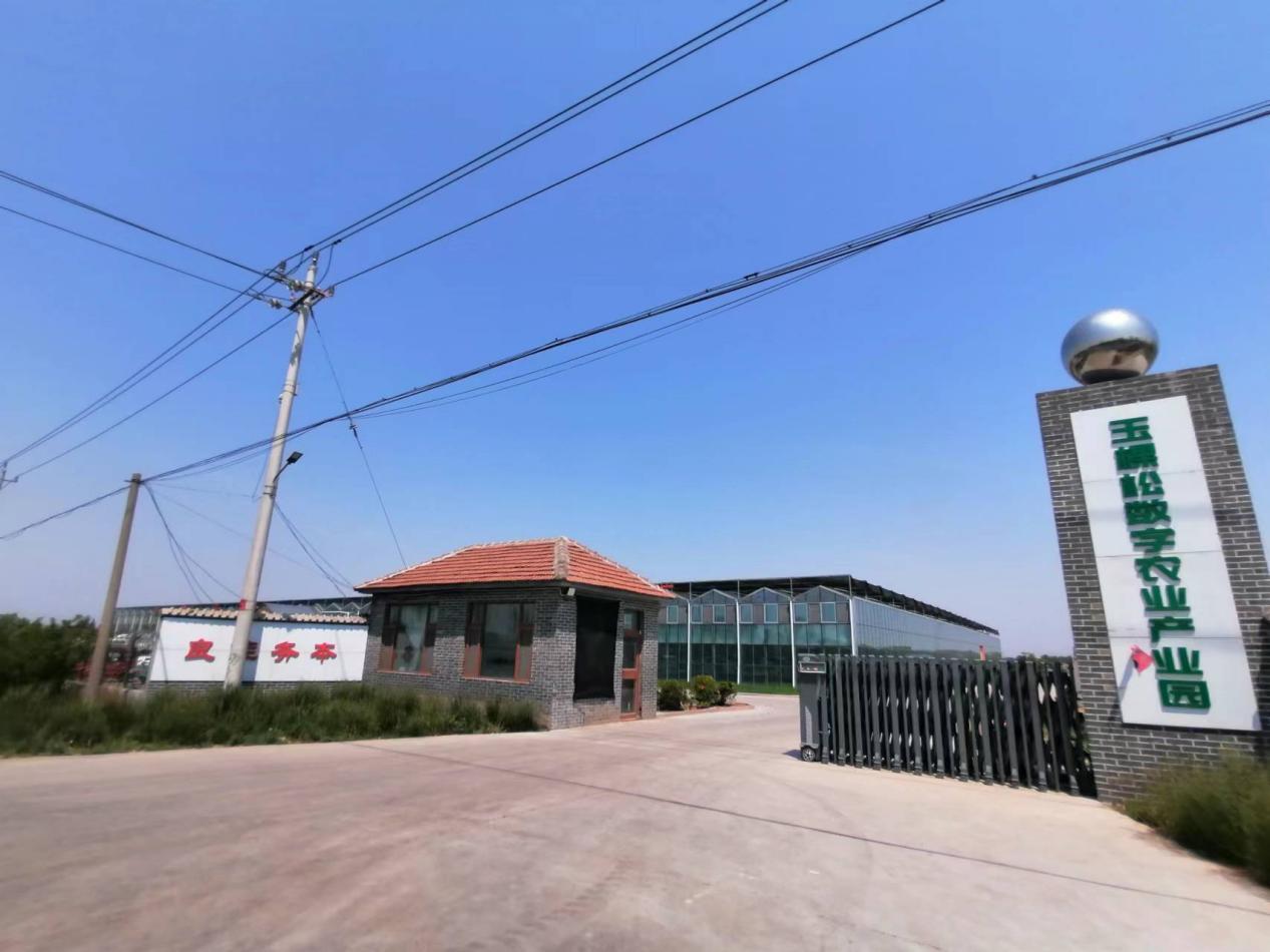 从空心到振兴的蝶变之源,从贫困村到示范村的蝶变