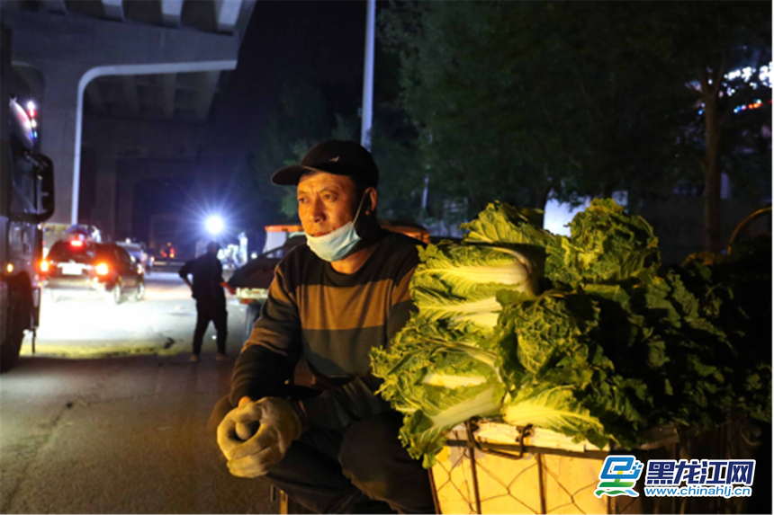 精品蔬菜批发市场图片,哈尔滨薛家蔬菜批发市场