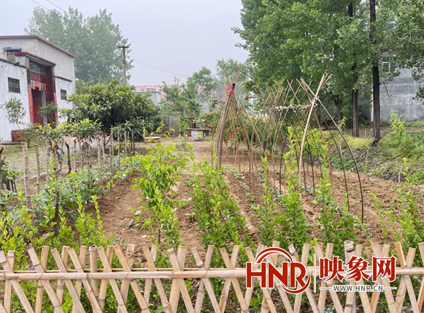 一宅变四园,农村一宅变四园美丽庭院