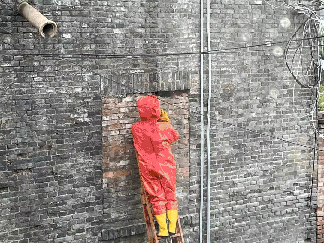 遇到马蜂蜇人怎么自救,遇到马蜂自救办法