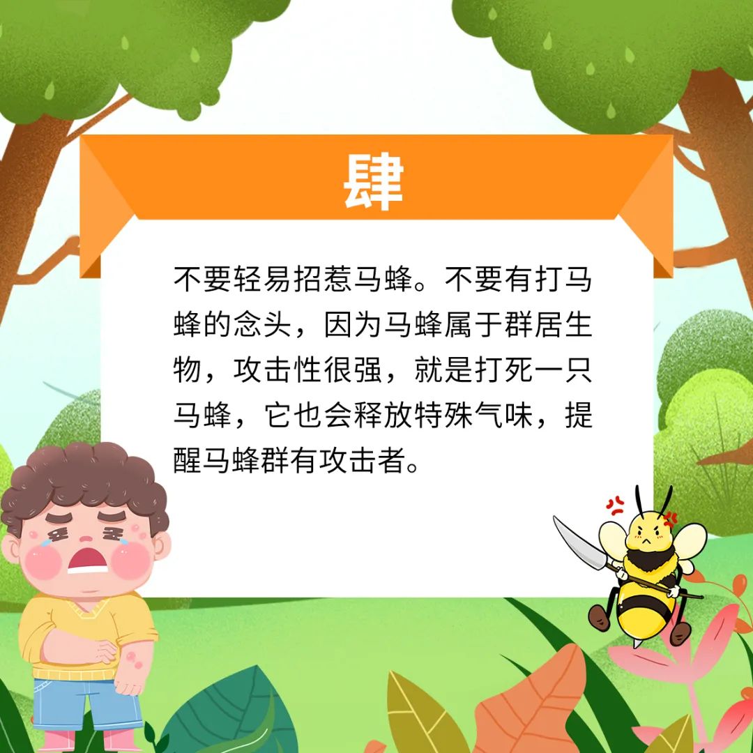 马蜂窝最佳驱蜂方法,马蜂窝的正确驱蜂方法