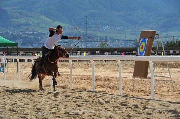 非遗赛马项目,少数民族赛马纯血马