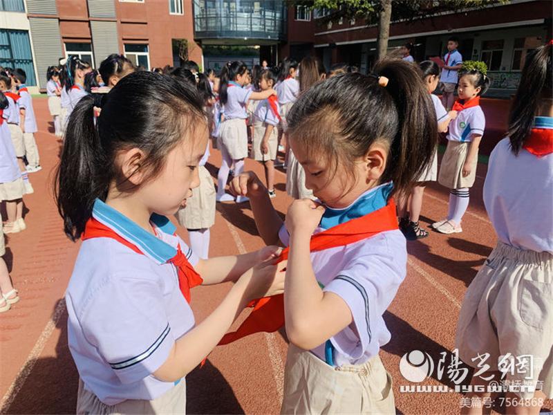 少先队员入队仪式暨表彰大会,少先队入队暨表彰大会流程