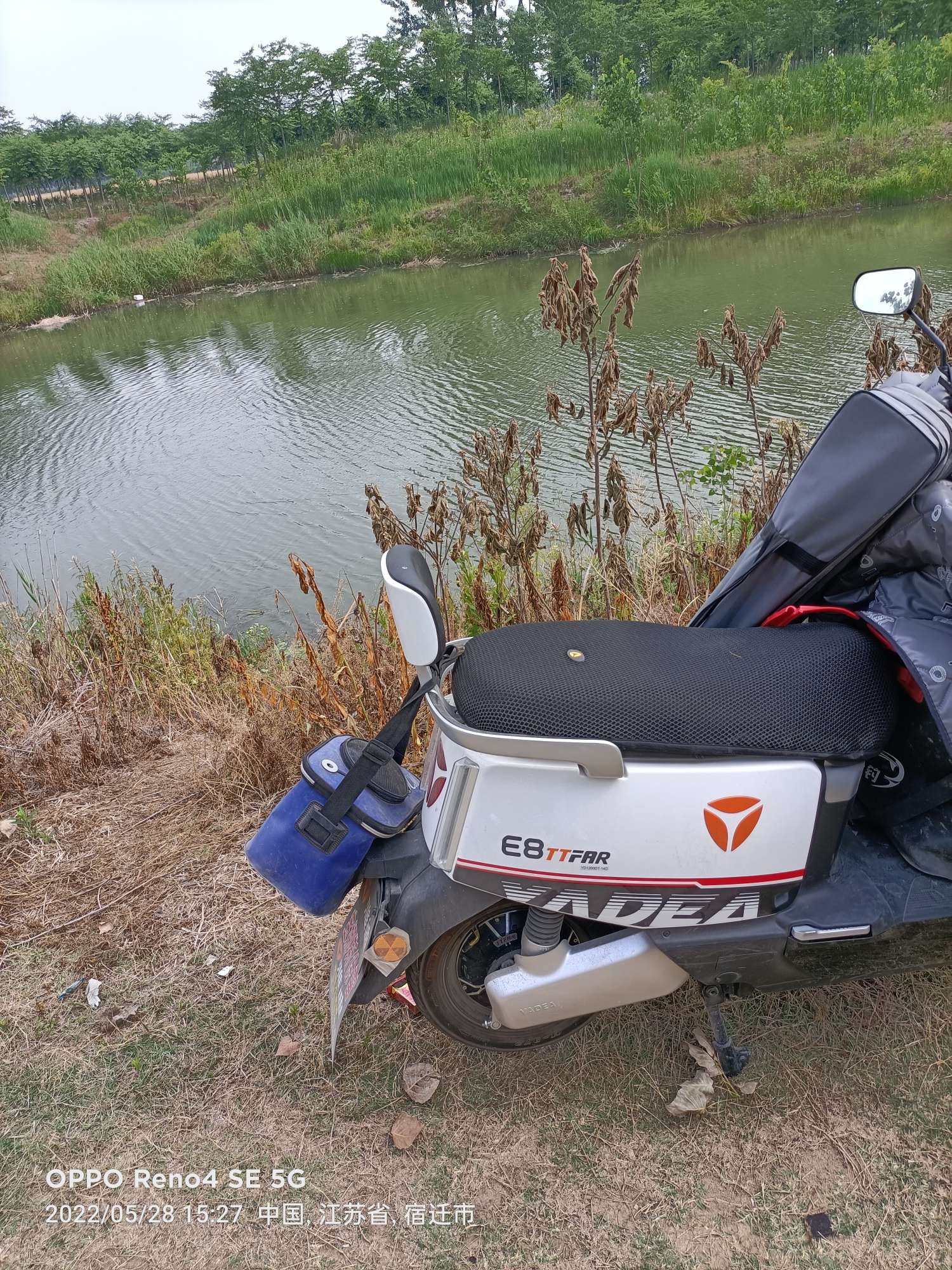 「5月鱼获」来者不拒，成功与餐条结缘