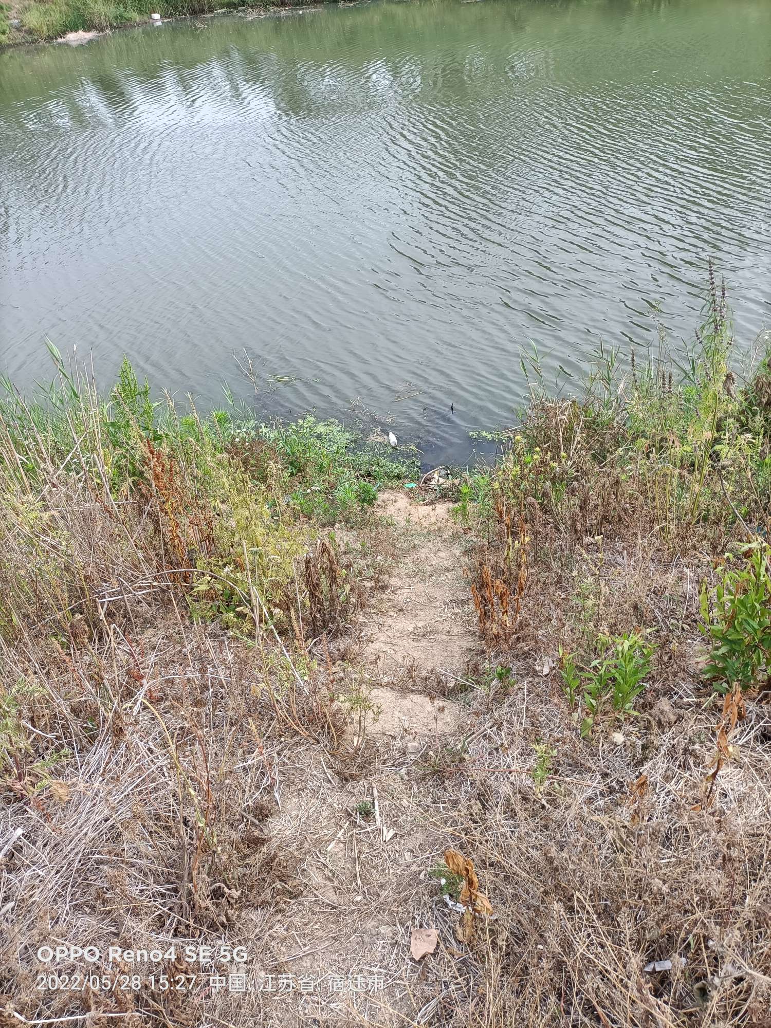 「5月鱼获」来者不拒，成功与餐条结缘