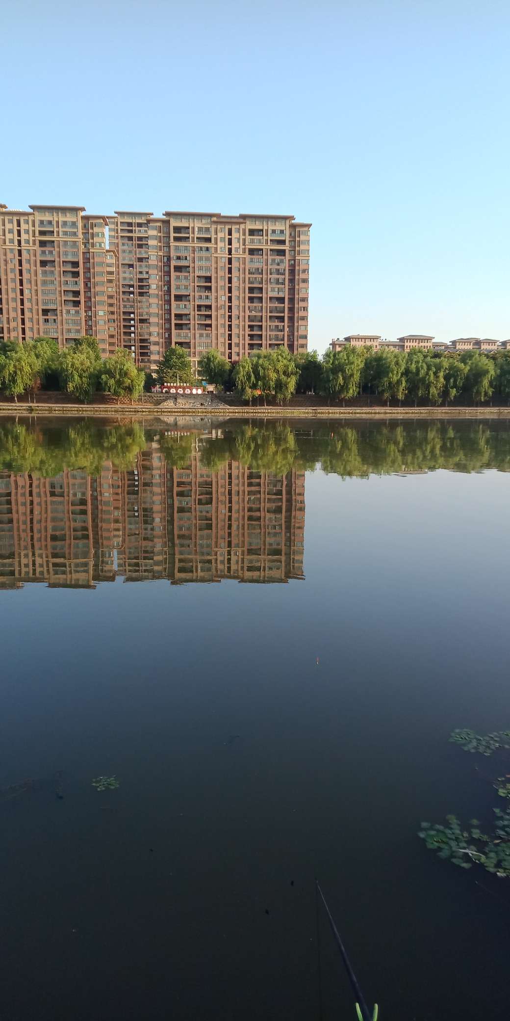 浑身亮甲如新衣，一生靓仔它美气