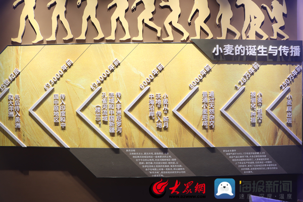 品质滨州｜以三个“全国第一”领军小麦精深加工中裕食品有限公司打造粮食产业高质量发展的“中裕模式”