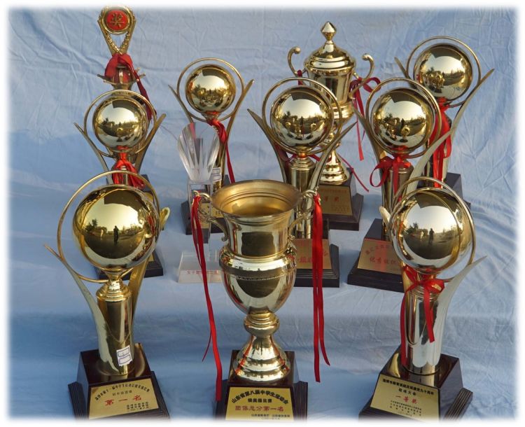 手捧仁者良心躬耕教育本色——淄博第十八中学“多元化”教育纪实