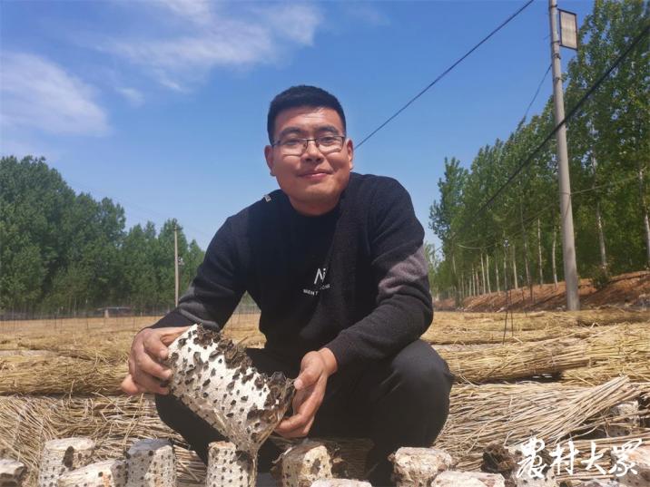 农民青年种植木耳创业故事,种植木耳致富增收