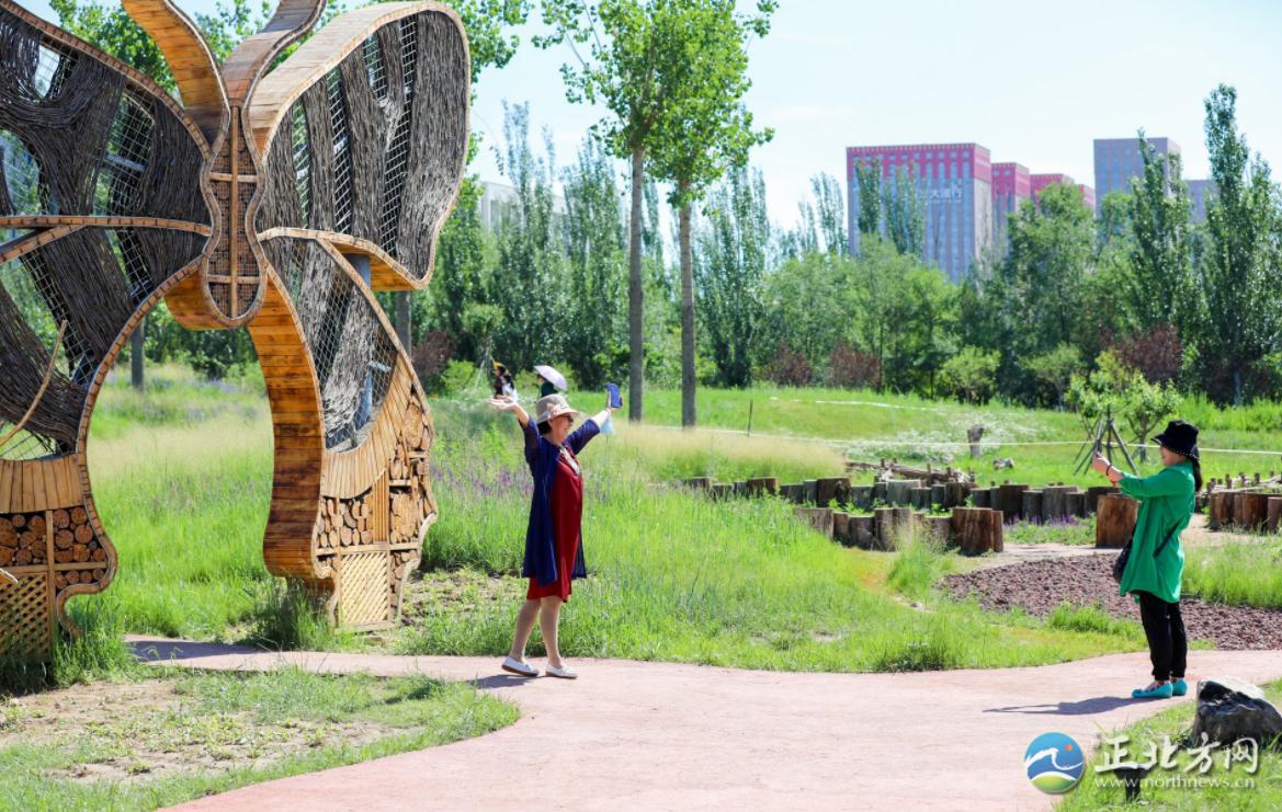 漫步城中,漫步草原美景