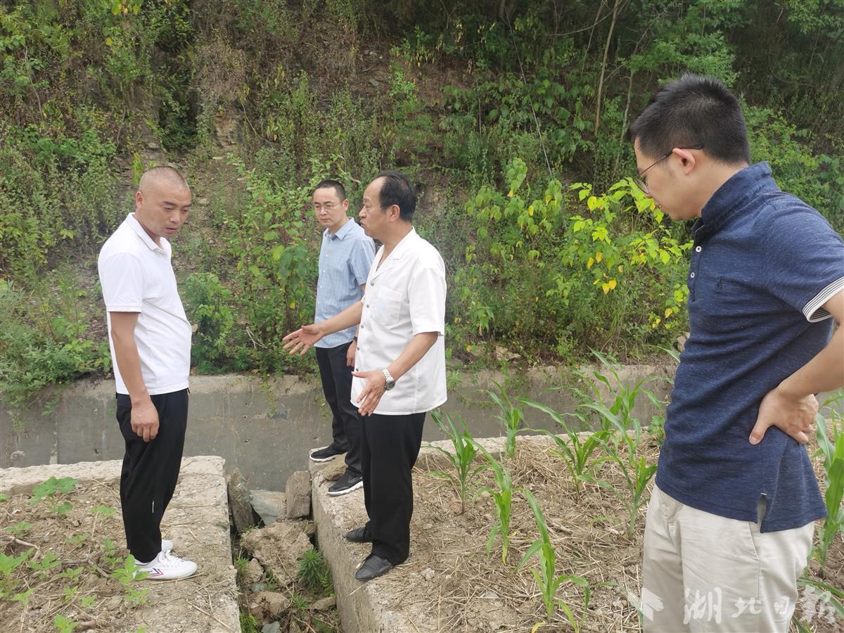 安全与“绿色”并驾齐驱，利用与富民结伴而行——十堰市74座闭（销）库尾矿库绿色转型调查