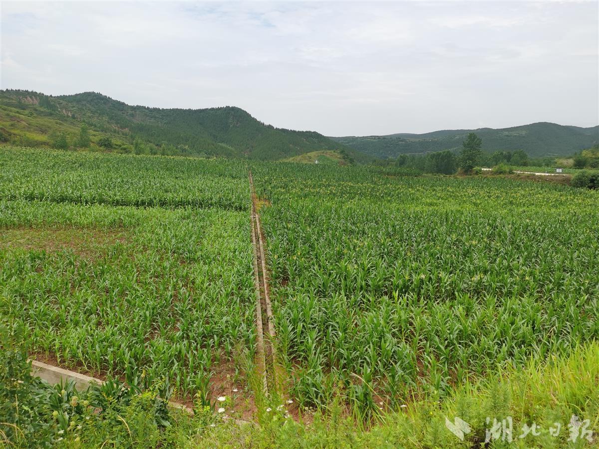 安全与“绿色”并驾齐驱，利用与富民结伴而行——十堰市74座闭（销）库尾矿库绿色转型调查