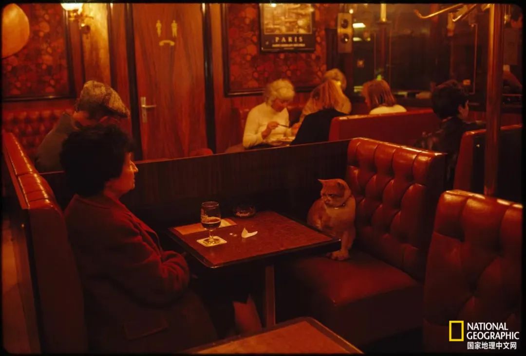 30张“最伟大的作品”