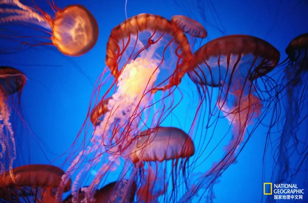 30张“最伟大的作品”