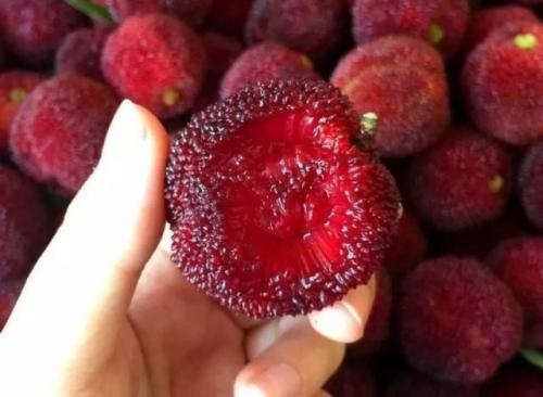 关彦斌养生说：四种水果清凉一夏