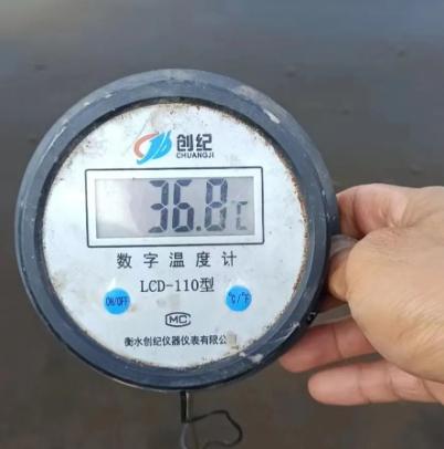 赞!一天一个价,江苏30条对虾冲到24块!南方也缺货,下个月还会持续涨价?但虾农如何熬过高温天?