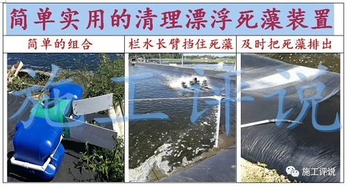 赞!一天一个价,江苏30条对虾冲到24块!南方也缺货,下个月还会持续涨价?但虾农如何熬过高温天?