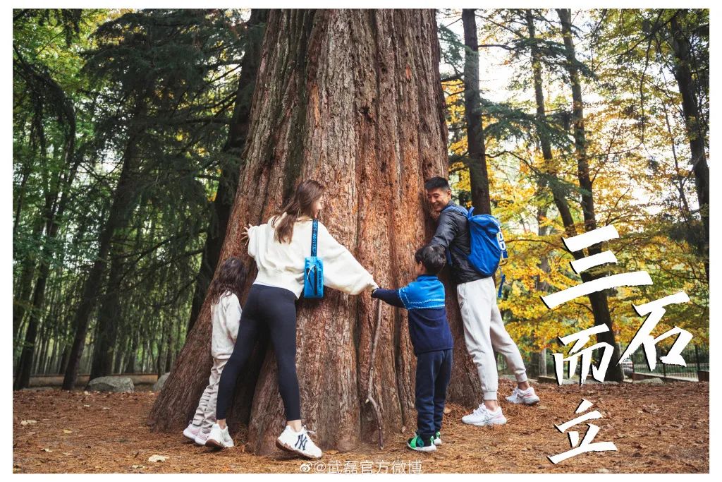 如“7”而归！和我们一起回顾，武磊这一路