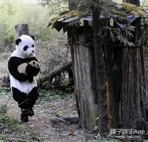 橘子晚报/吴京拒绝女嘉宾挽手?姜昇润恋情?