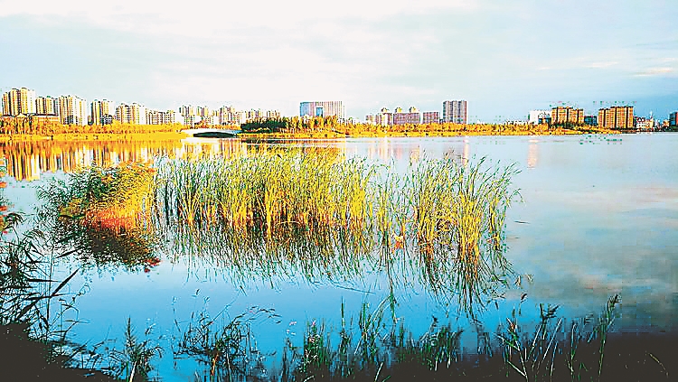 大庆猪价,大庆疫情最新通报