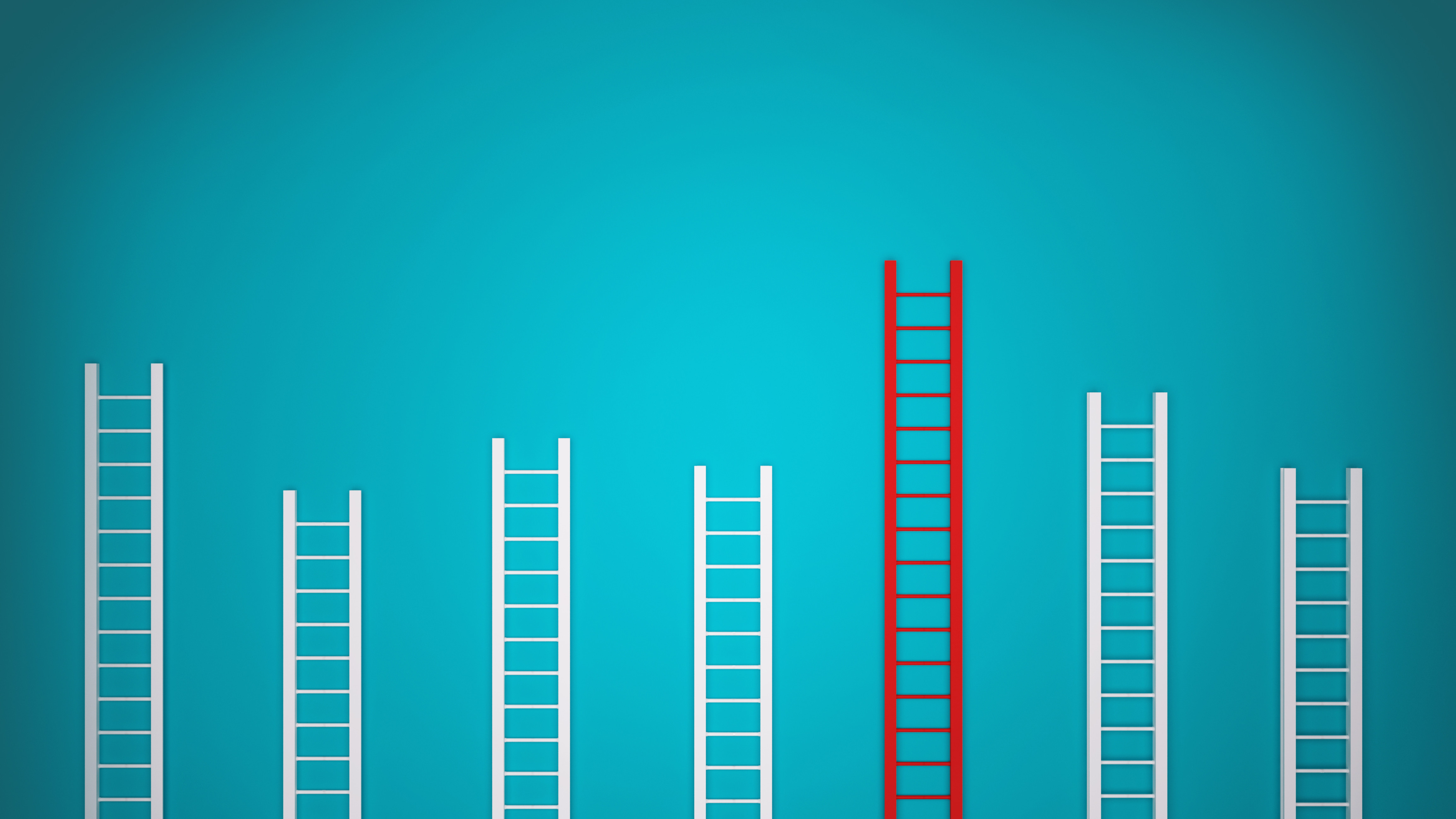 皮凯蒂灯塔出路,皮凯蒂专访视频