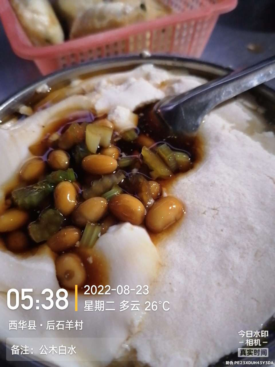 8月里面的鱼怎么钓,钓位选什么鱼最好