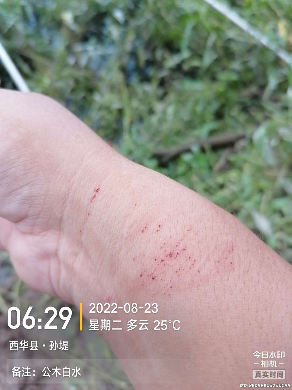 8月里面的鱼怎么钓,钓位选什么鱼最好