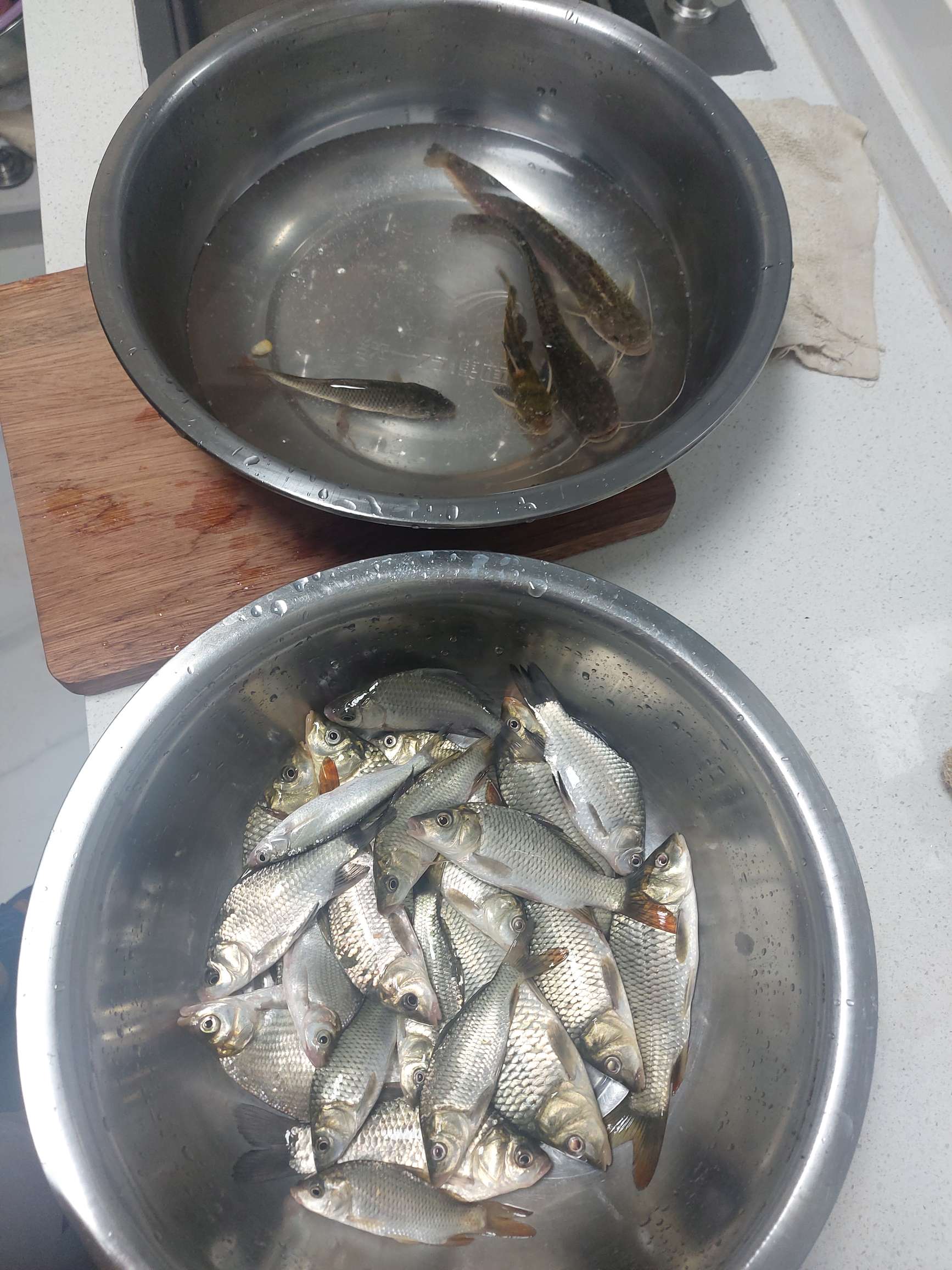 提前做“功课”，果然是不虚此行