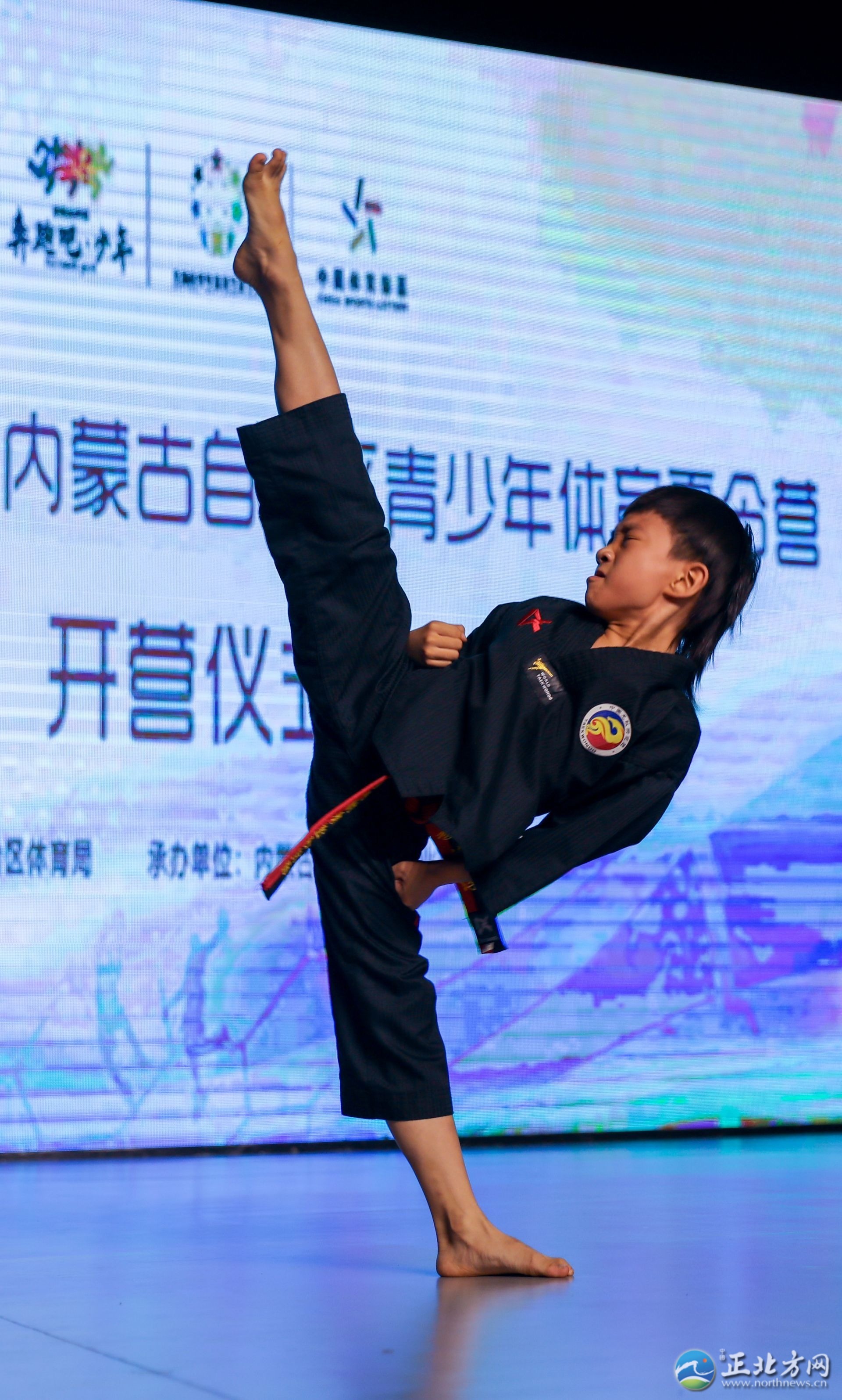 内蒙古协同发展,内蒙古区域协调