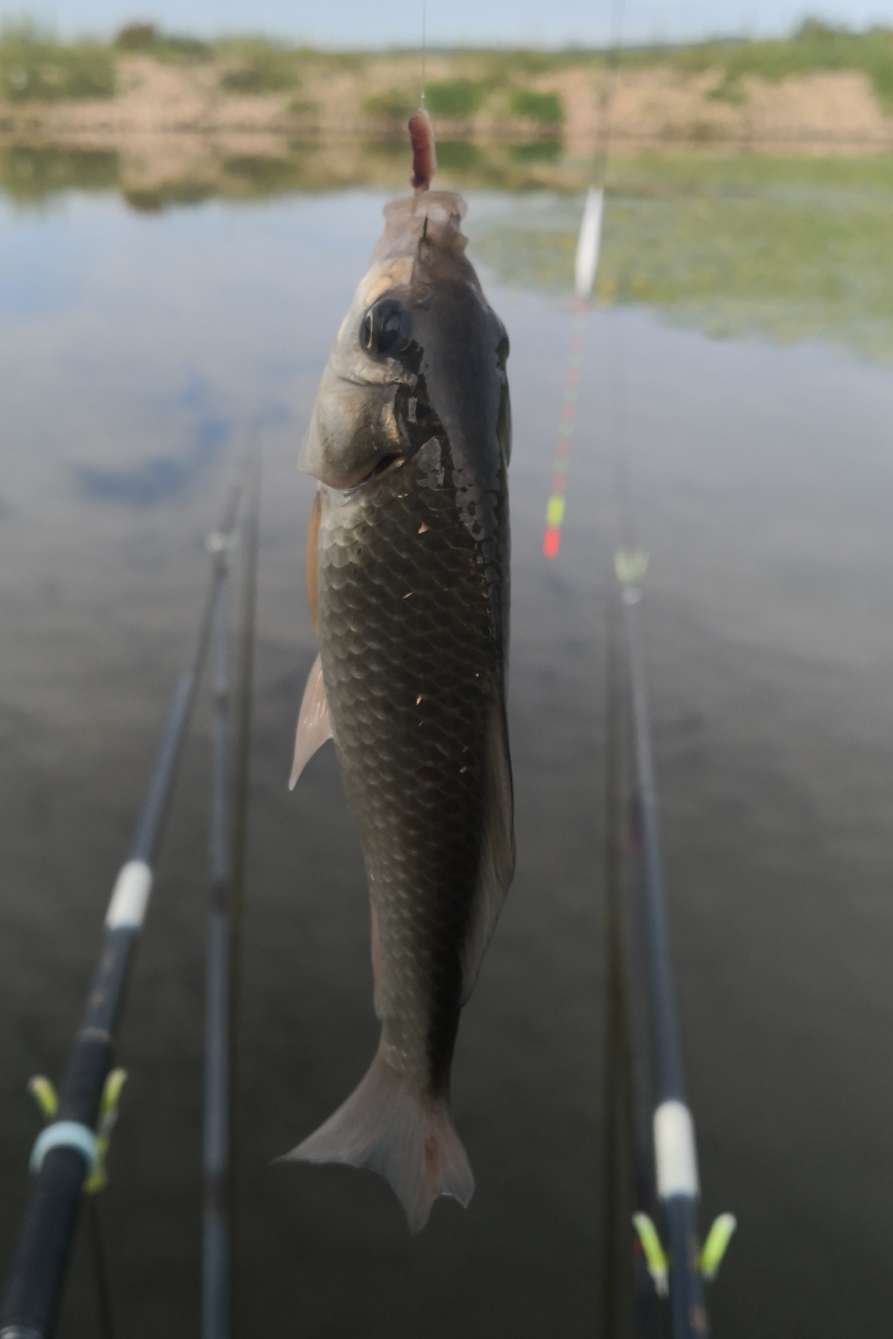 海兰湖野钓好去处,海兰湖钓鱼最佳地点