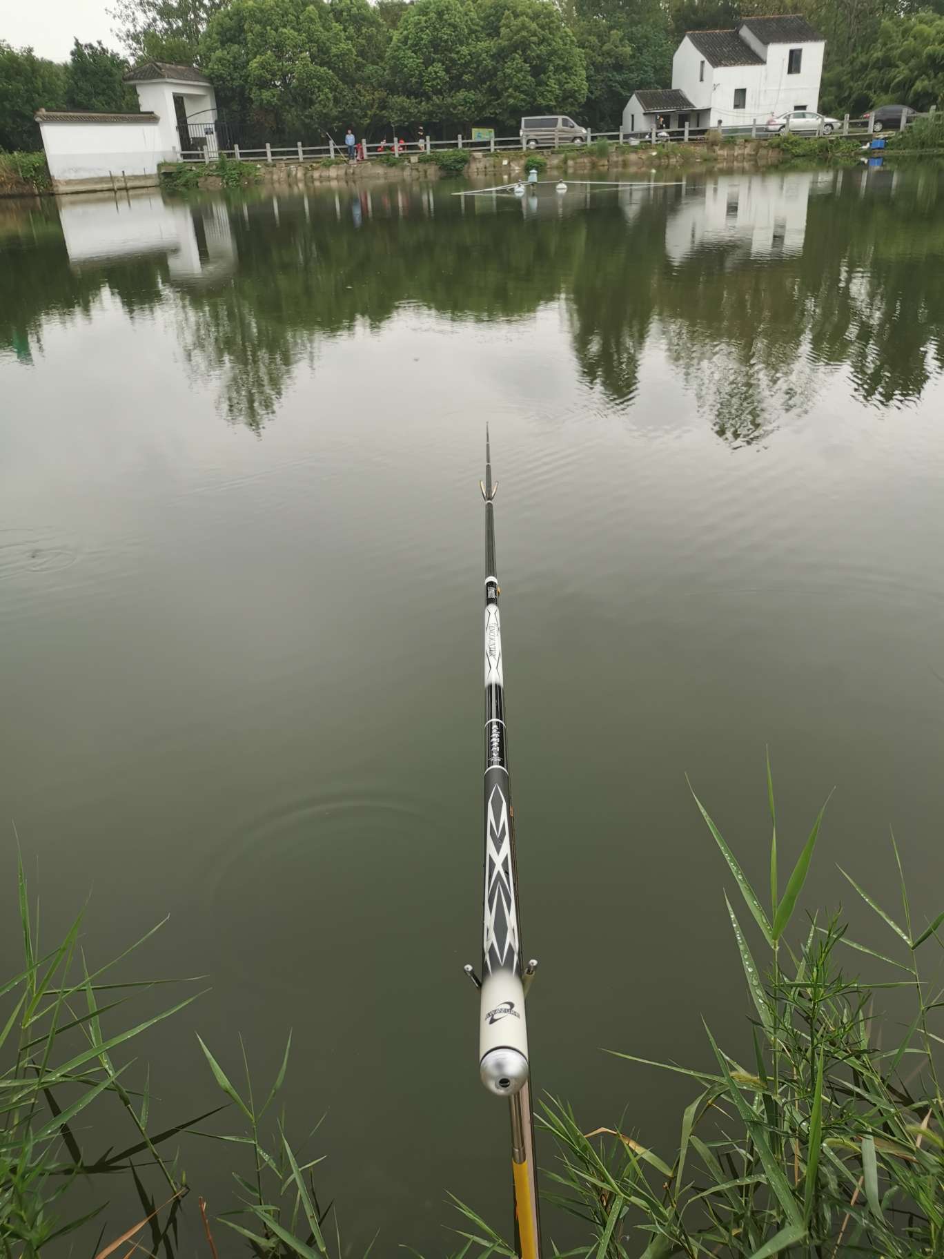 「浮钓2095」2095初显成效！野钓、黑坑果然通杀