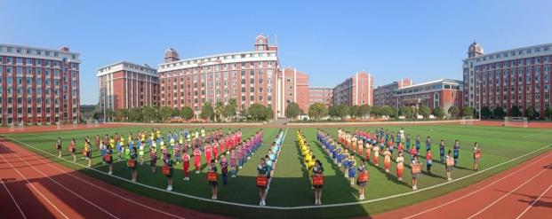 绿茵场上展英姿下一句是什么,绿茵场上足球小将展风采