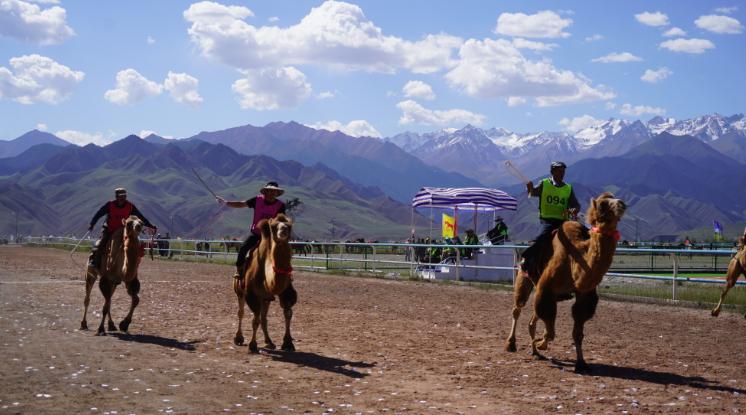 甘肃张掖肃南裕固族自治县赛马会开赛