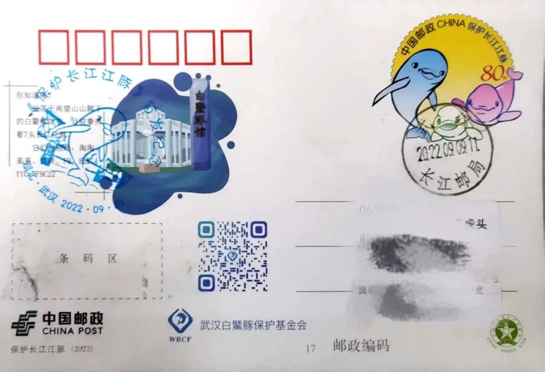 寄一只“江豚”给你，请查收