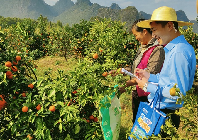 心怀国之大者携手向未来,壮美广西乡村振兴感悟