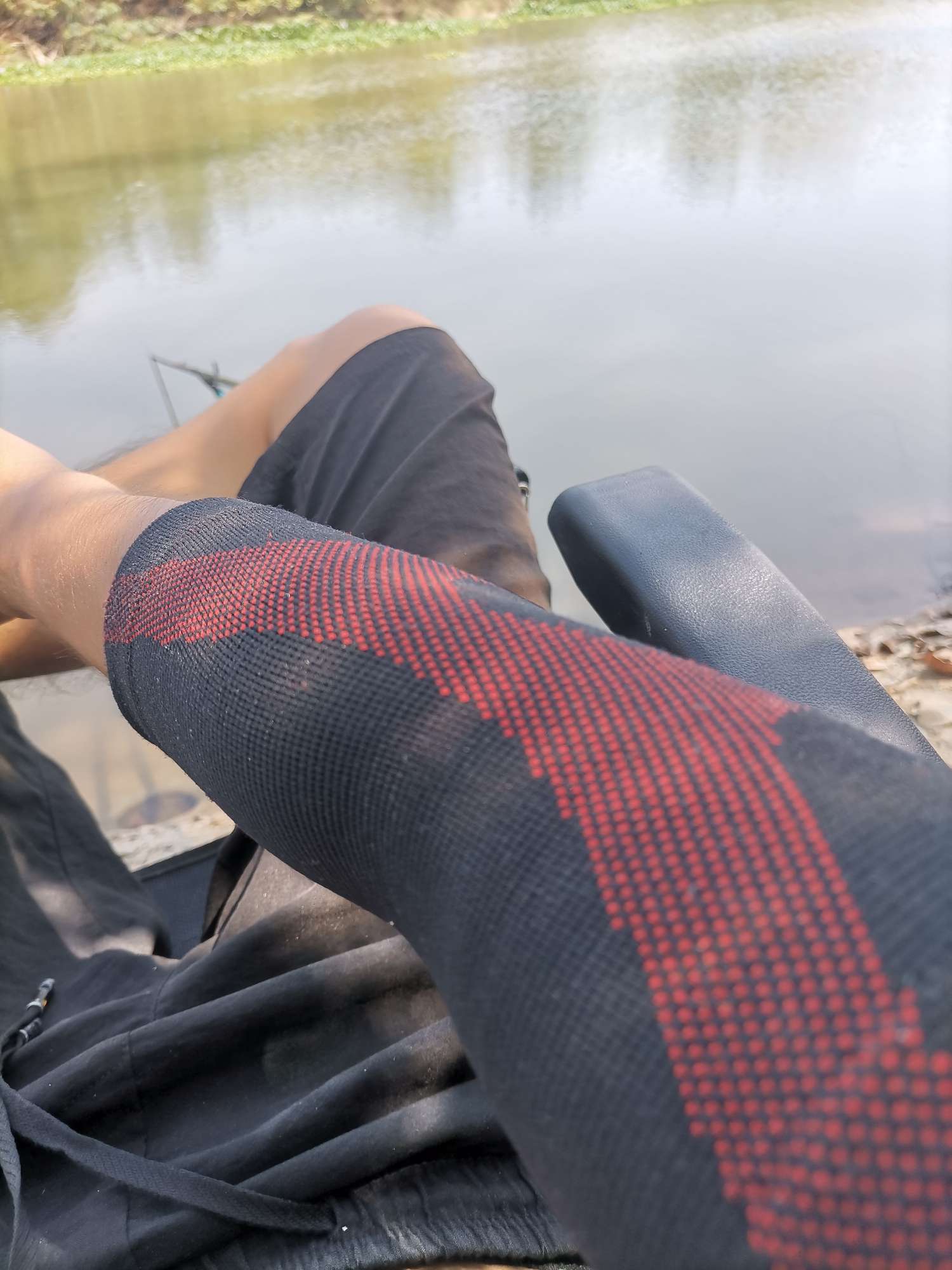 喂鱼趣事,享受喂鱼的全过程