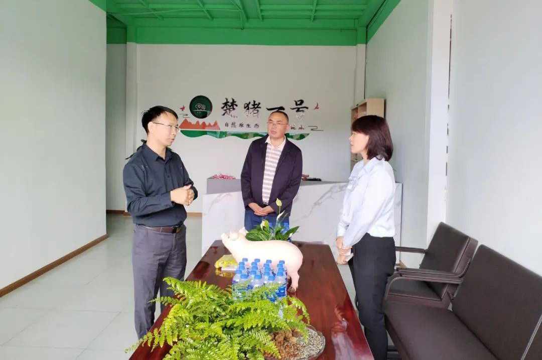 数字化转型赋能制造业高质量发展,数智赋能乡村治理