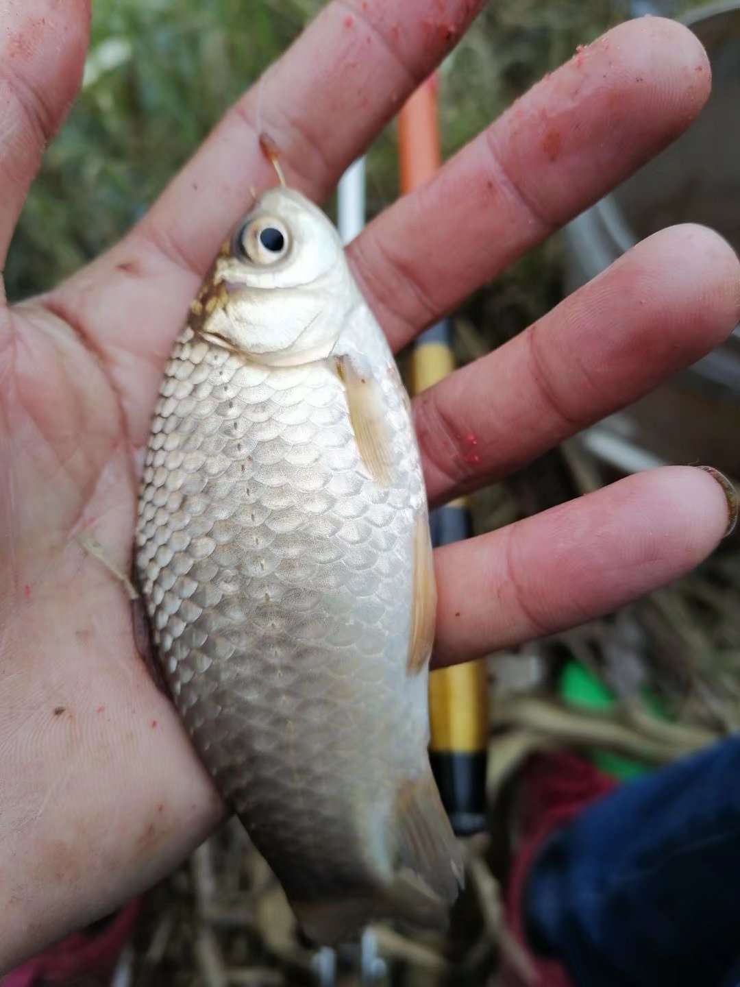 骨灰级大师分析4种脱钩原因及应对方法，建议收藏