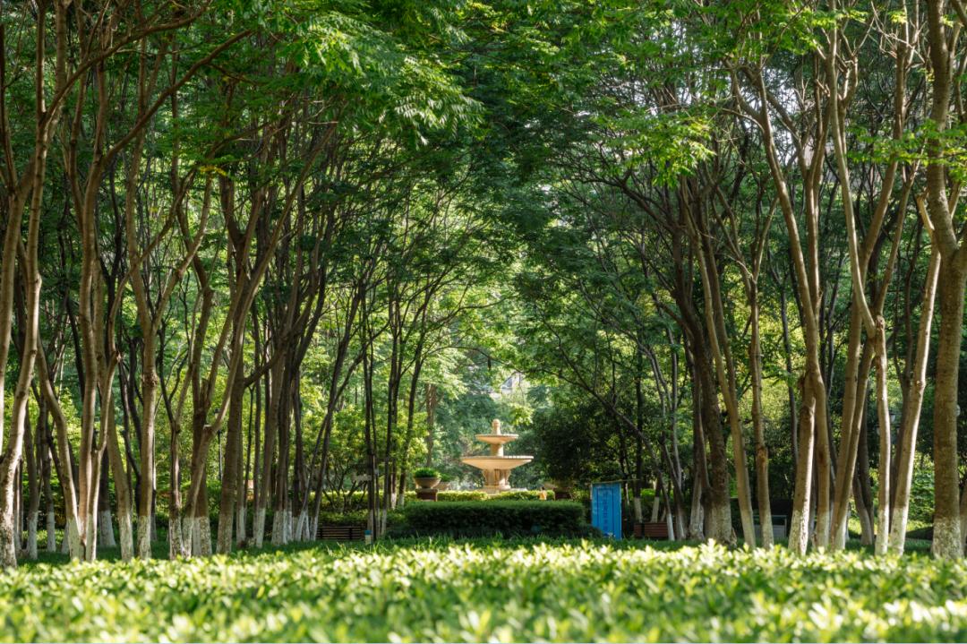 产品力时代品质回归,产品兑现力