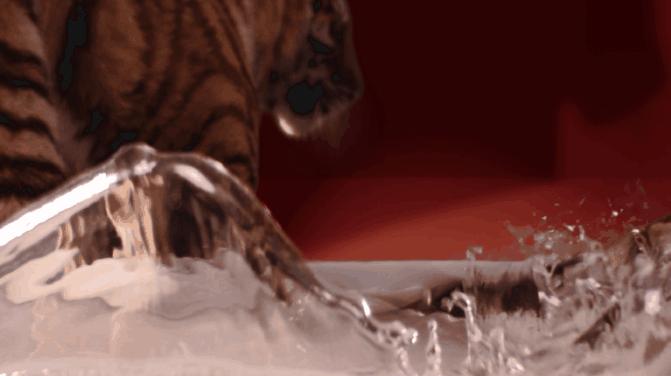 电影频道有关足球的电影,电影频道06年播过的儿童电影