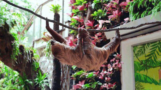 国庆广州天河好玩的地方推荐,广州天河打卡免费推荐