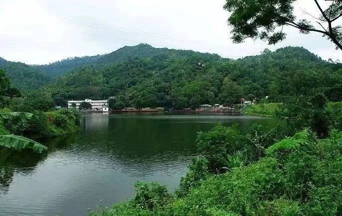 国庆广州天河好玩的地方推荐,广州天河打卡免费推荐