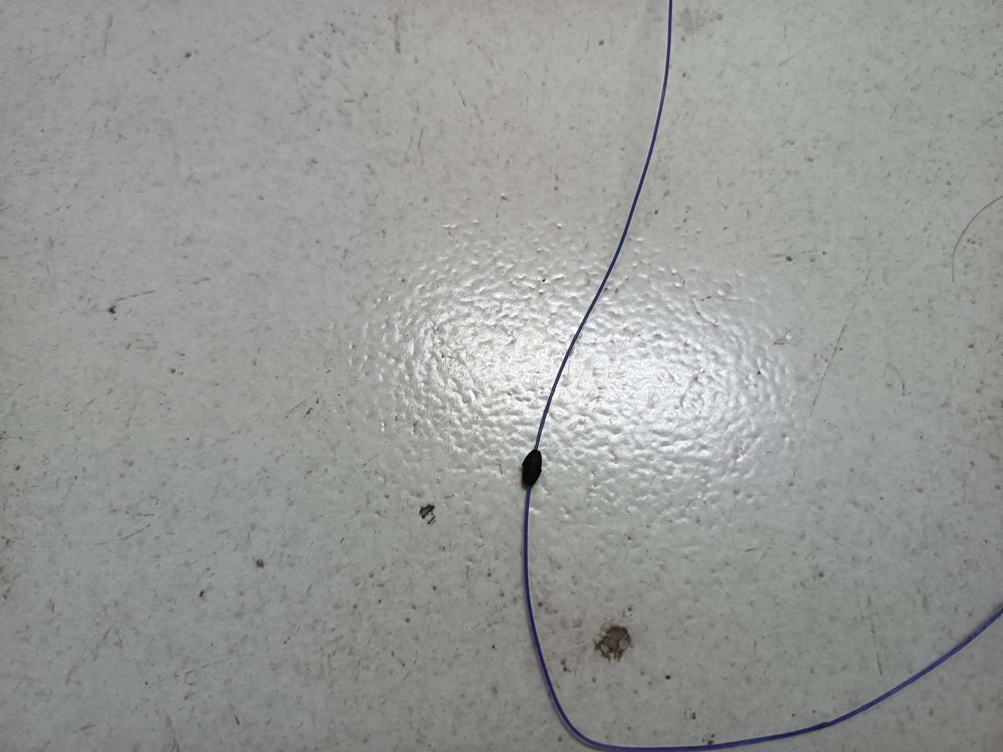 抛竿钓鲢鳙线组防缠绕,抛竿钓鲢鳙怎么才能不缠绕线