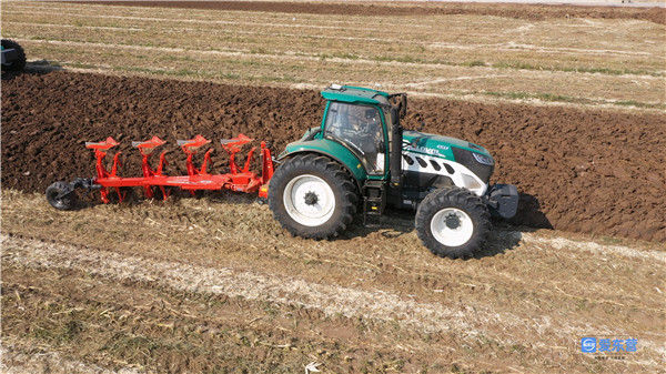 山东哪里的玉米最好,山东玉米高产前十名