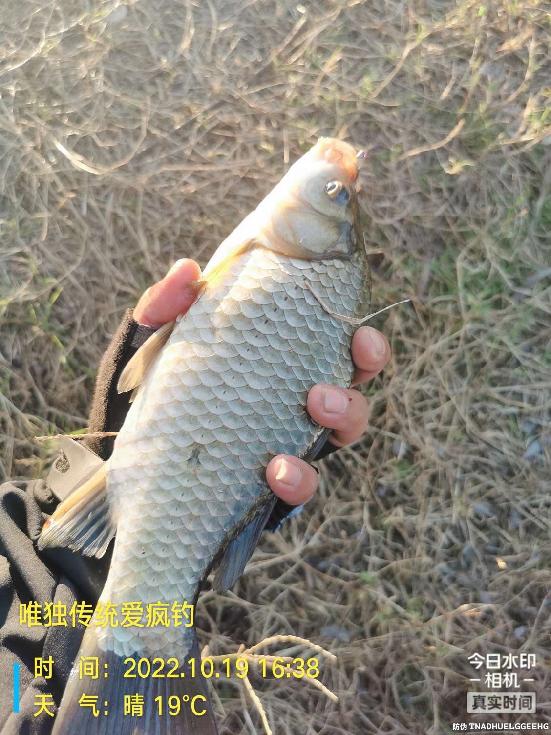 传统钓有风浪,传统钓线组如何应对风浪