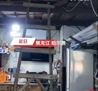 神秘的仙女屋,梦幻仙女屋