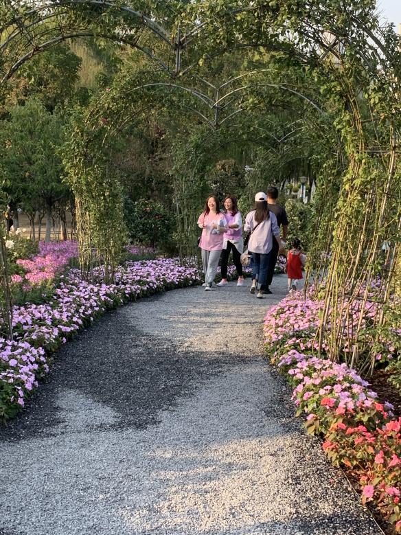 沙湖户外遛娃攻略一日游,沙湖带娃怎么玩便宜又好玩