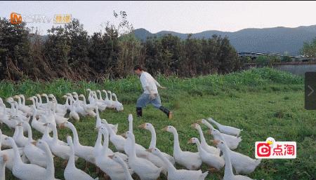 人变得越来越黄是怎么回事,为什么人的精神面貌会变